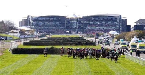 grand national finishers|Grand National 2023 full results and which finishing places each.